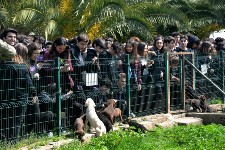 Gemlik Askeri Veteriner Okulu'na Ziyaret