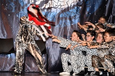 Broadway’den Şahinkaya’ya: CATS