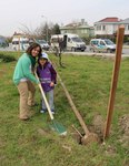  Yeşil Bir Dünyanın Tohumlarını Attılar  