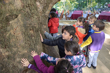 Tarihi Çınar Miniklerin Çemberinde 