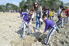 Bir ‘Şahinkaya Ormanı’mız Var