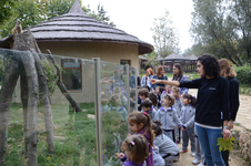 Şahinkaya Öğrencileri Sevimli Dostlarını Unutmadı